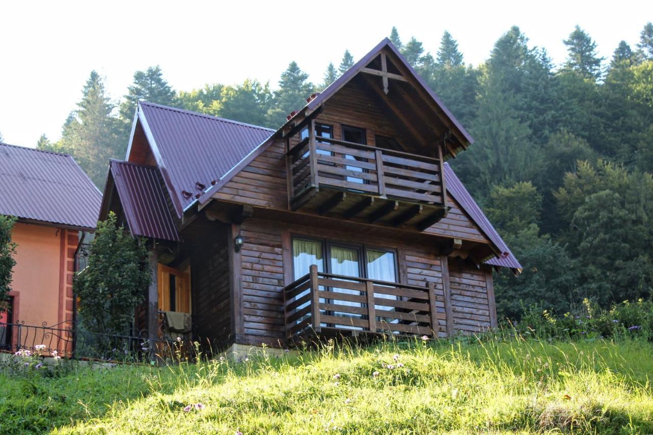 Cottage "Karpatske Shale" 야렘체 외부 사진